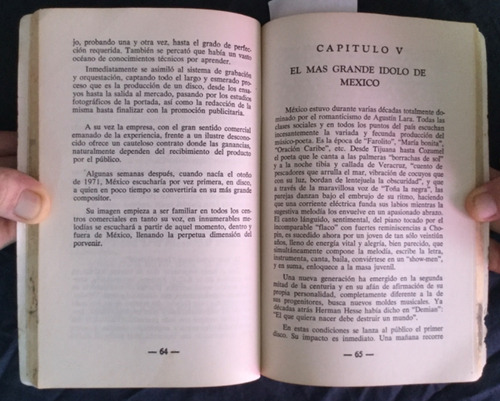 Libro Juan Gabriel. Filiberto Terrazas (Usado)