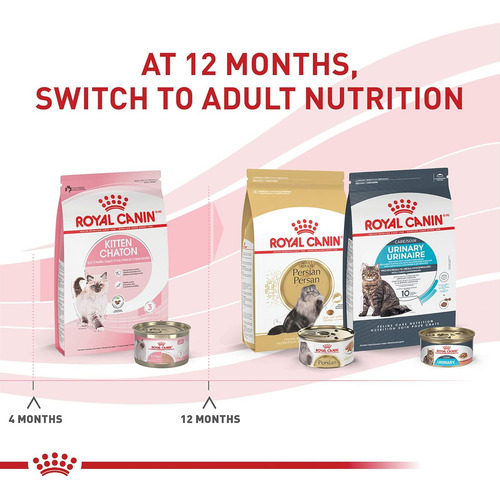 Alimento Royal Canin Para Gato Kitten 340gr