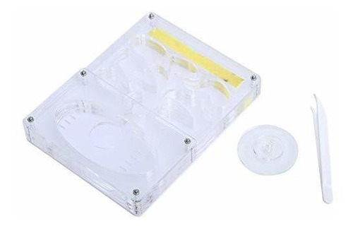 Heepdd Ant Farm, Acrilico Transparente Nido De Hormigas Sist