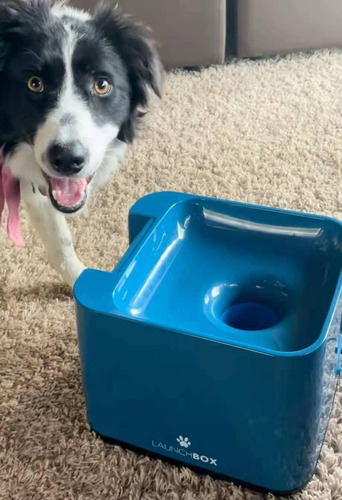 Lanzador Automático De Pelotas Para Perros 3 Bolas