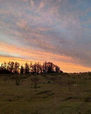 Campo En Paraje José Ignacio 