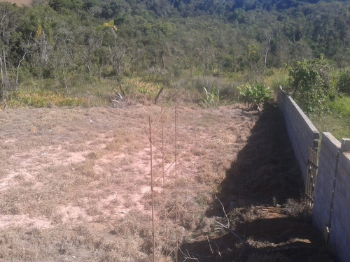 Imagem 4 de 5 de Terreno 3.000,00m2no Bairro Do Cupim