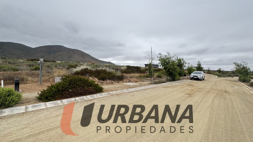 Sitio En Condominio Las Mostazas, Guanaqueros