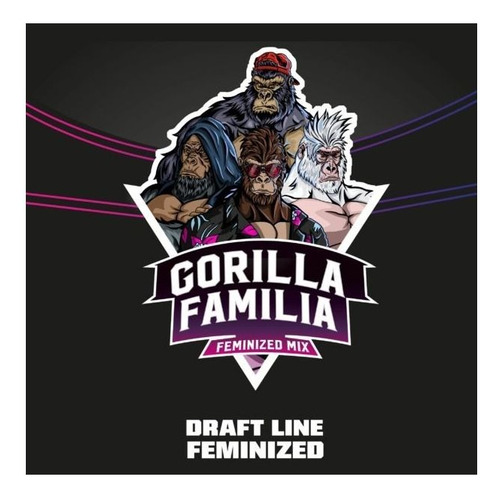 Semillas Gorilla Familia Mix (x12) Bsf Seeds 100% Original 