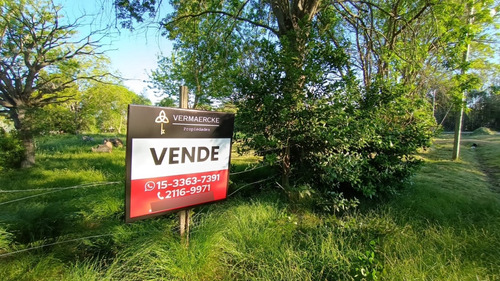 Terreno En Venta, Villa Elisa