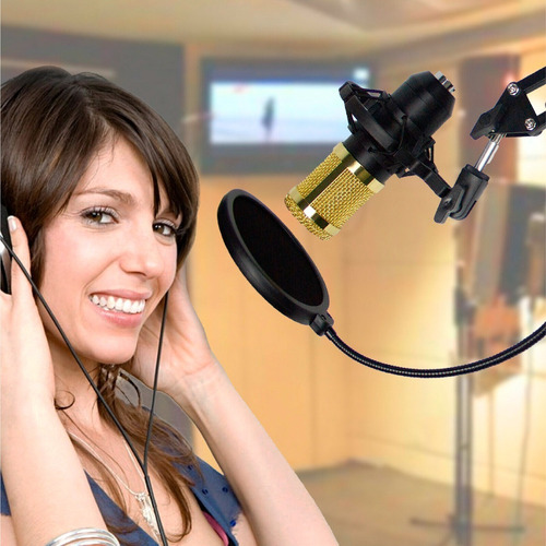 Imagen 6 de 10 de Set Estudio Profesional Micrófono Condenser Brazo Filtro Voz