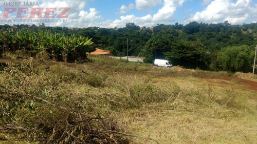 Chácaras_sítios_fazendas Para Venda - 13650.7749