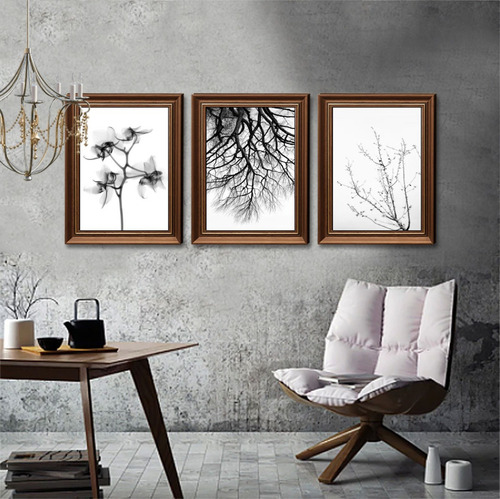 Quadro Decorativo Flores Preto E Branco Decoração Casa Sala