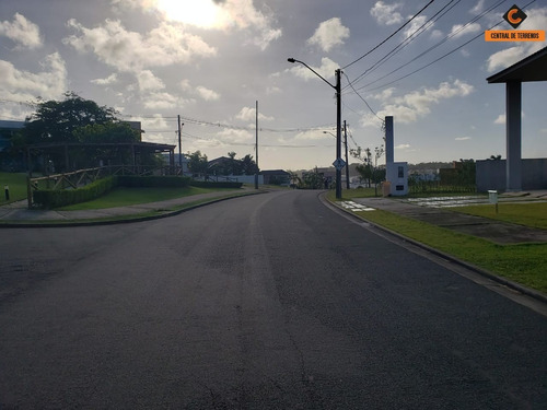 Imagem 3 de 15 de Lote No Alphaville Litoral Norte I - Te00395 - 68970626