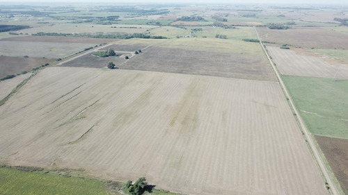 Imagen 4 de 23 de Campo - Alsina