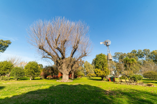 Imagen 5 de 29 de Chacra - Casa Quinta De 20 Ha En Uribelarrea