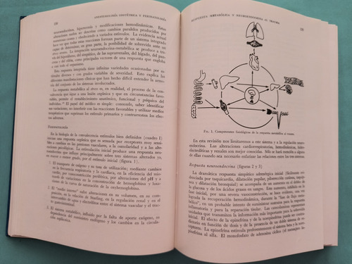 Anestesia Obstétrica Y Perinatología (Usado)