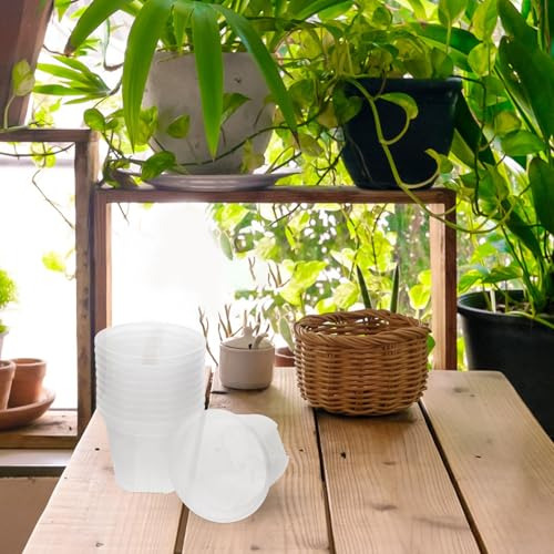 Macetas Transparentes Redondas 15 Cm Para Bebé Y Suculentas