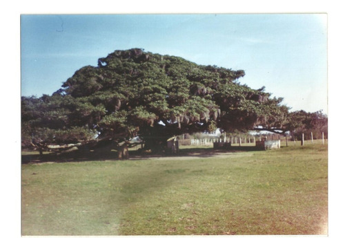 Fazenda 123 Hectares No Rio Grande Do Sul