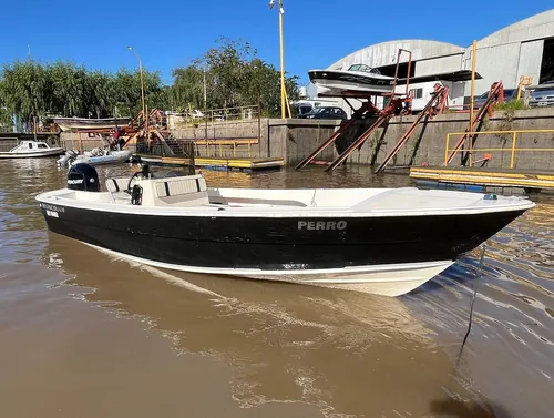 Regnicoli Marea 630 Mercury 115 Hp 4 Tiempos