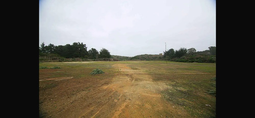 Venta Terreno - Sitio 19594mts Pichilemu