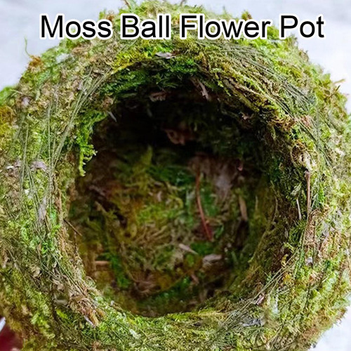 Plantador Moss Ball Green Moss Ball Pot Soporte De Flores Cr