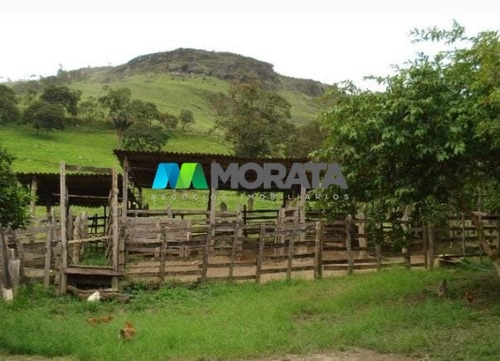 Imagem 13 de 15 de Fazenda - Zona Rural - Ref: 4818 - V-mta4818