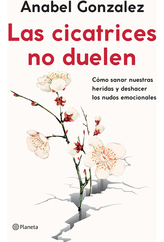 Libro: Las Cicatrices No Scars Do Not Hurt: Como Sanar Nuest