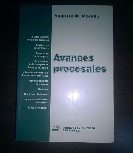 Avances Procesales  ( Morello)