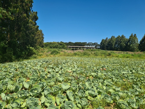 Imagem 9 de 14 de Terreno
