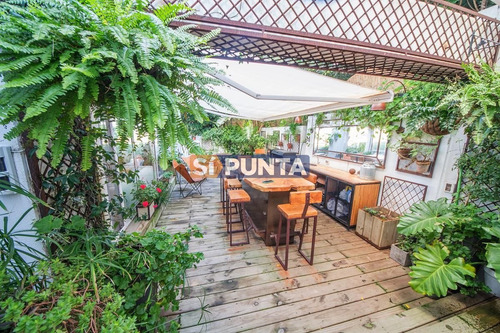 Imagen 5 de 16 de Apartamento En Venta - Peninsula