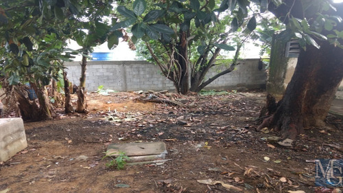 Imagem 2 de 6 de Terreno - Te00011 - 69304274