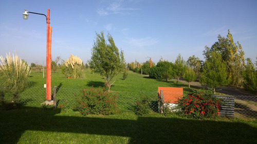 Sensacional Chacra En Viedma, Sobre 10.000m2 De Terreno.