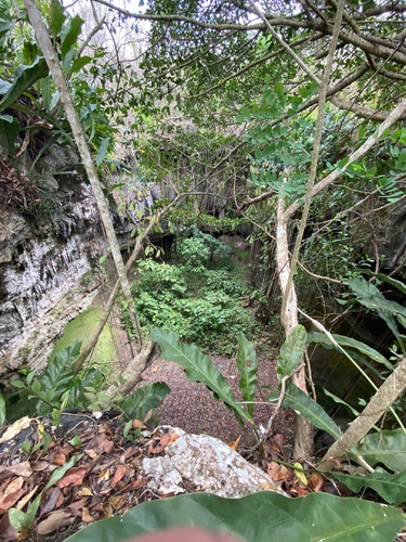 Increíble Terreno Con Cenotes En Venta Rodeados De Naturaleza En Valladolid, Ideal Para Desarrollador