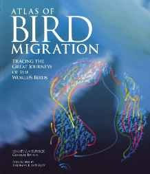 Atlas De Migración De Aves: Seguimiento De Los Grandes Viaje