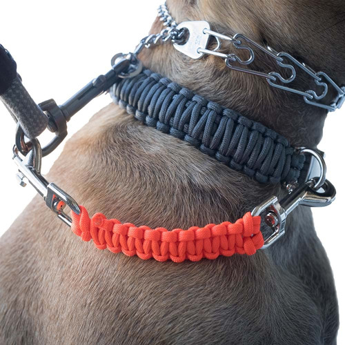 Correa De Seguridad Collar De Perro Collar De Castigo C...