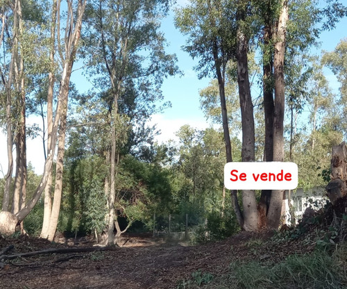 Terreno En Guazuvira Viejo