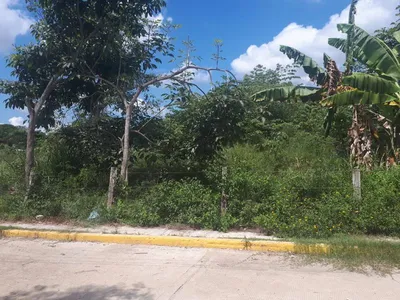 Terreno en renta