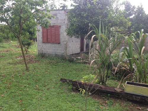 Chácara Com Pé De Frutas, 1 Dormitório, Em Itanhaém