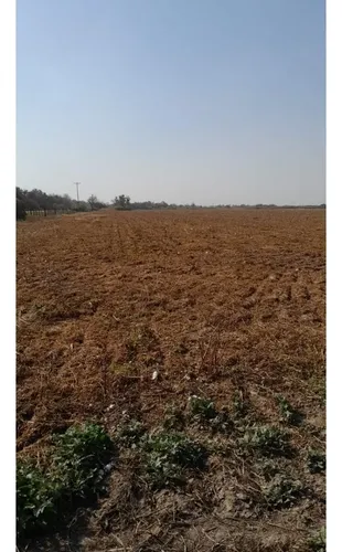 Venta Campo Agricola 495has, Sgo Del Estero, Clodomira - foto 1