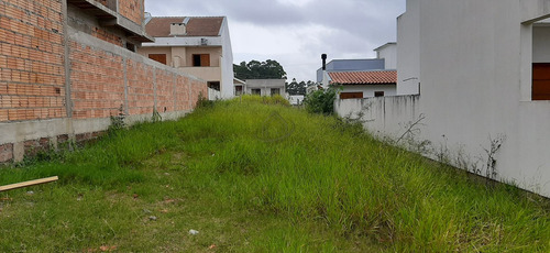 Terreno - Te00223 - 69010931