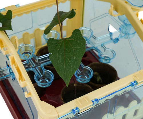 Mi Jardin Botanico Mi Alegria Laboratorio Juegos De Quimica