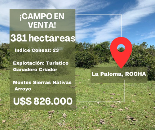 Campo De 381 Hectáreas En Polanco, Lavalleja 2100/ha 