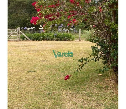 Imagen 10 de 12 de Casa De 4 Dormitorios En Punta Colorada - Piriápolis Punta Colorada