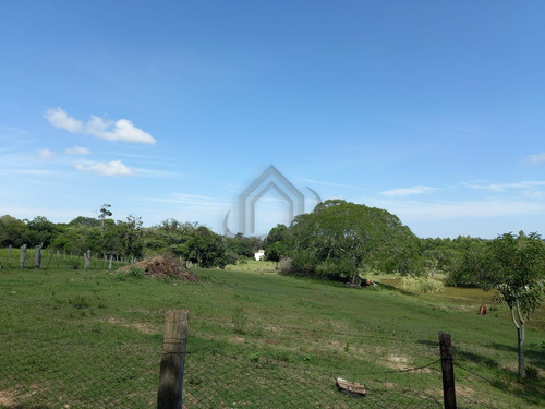 Imagem 14 de 14 de Sitio - St00117 - 71041109
