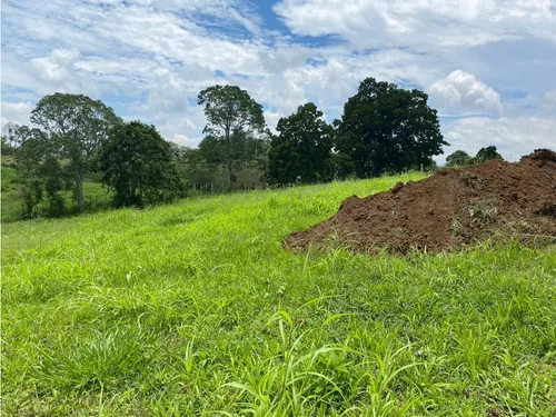 Venta Lotes En Quimbaya Quindío - Colombia Cod: 7439383