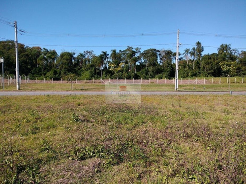 Imagem 13 de 13 de Terreno No Itinga Com 0 Quartos Para Venda, 263 M² - Ft1385