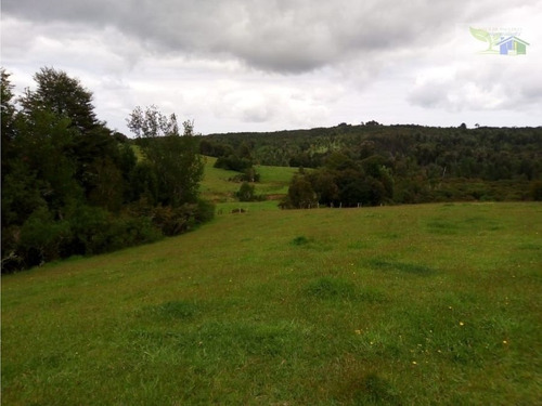 Se Vende Campo Con Casa Rustica Y Cabañas En Sector Coquiao