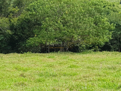 Imagem 1 de 14 de Chácara Em Claraval - Mg - Ch0013_rncr