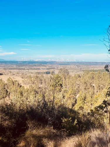 Terreno 5000 M2 En Litueche Con Vista Lago Condominio Seguro