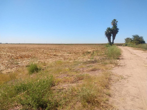 Imagen 2 de 8 de Terreno En Venta