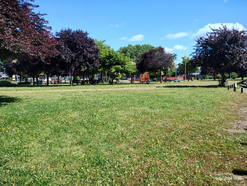 Venta Departamento 1hab 1ba Valdivia
