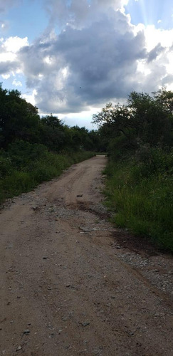 Imagen 7 de 8 de Magnifico Lote De 5000 M2