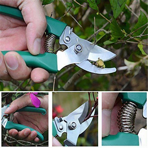 Set De Herramientas De Jardinería Para Suculentas, 10 Piezas