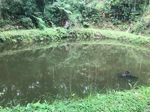 Imagem 18 de 29 de Chácaras À Venda Em Jarinú/sp - Compre O Seu Chácaras Aqui! - 1428340